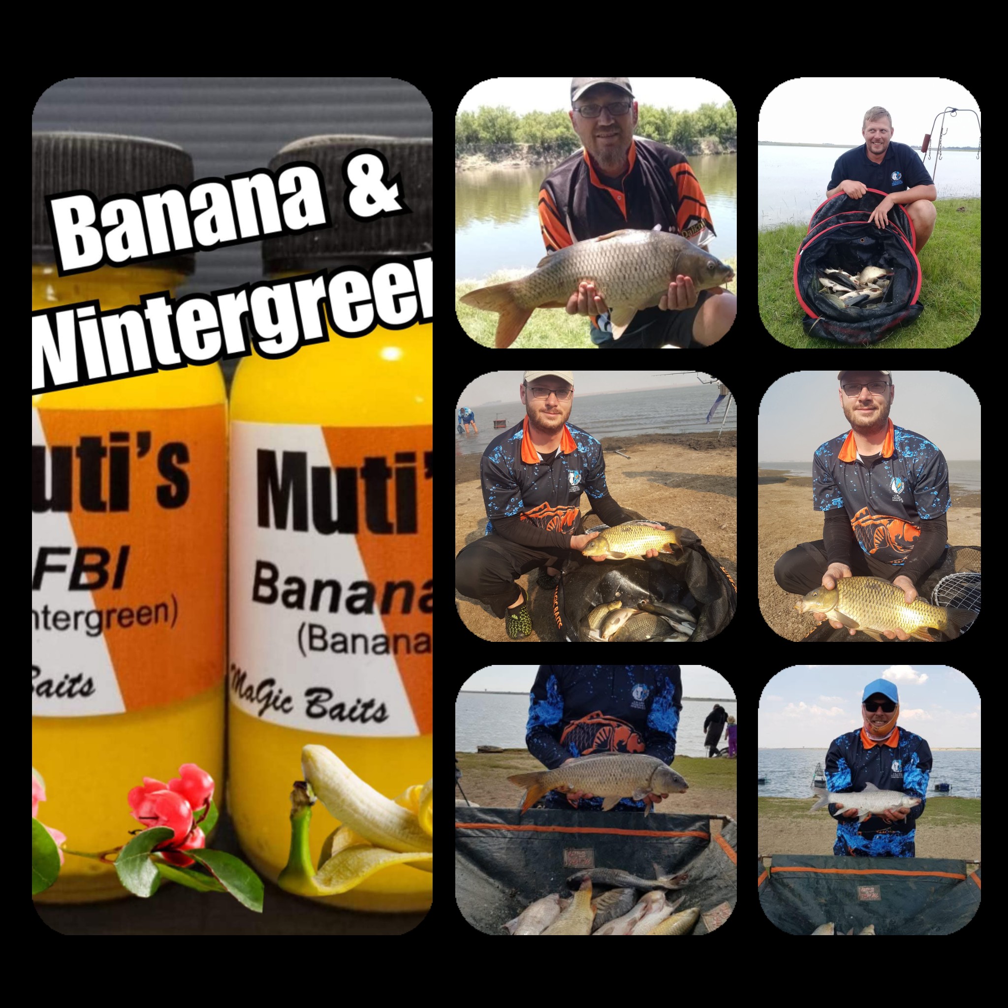 Swat Muti – “Banana + Wintergreen: A Two-Note Attraction for Smarter Carp Fishing”