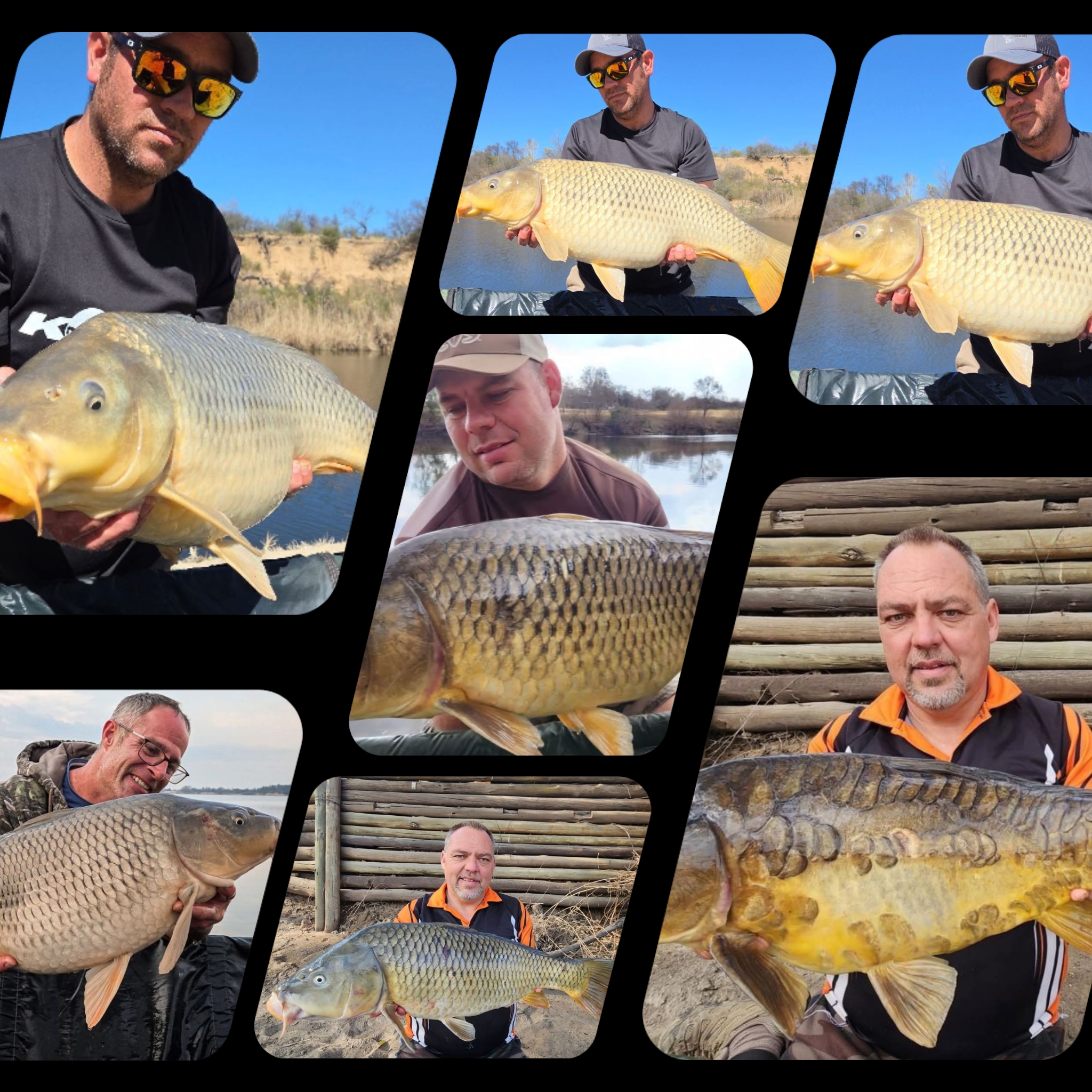 HEP – Hookbait Enhancing Powder