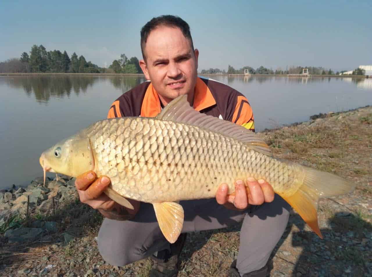 Night & Day on the Bank at Randwater