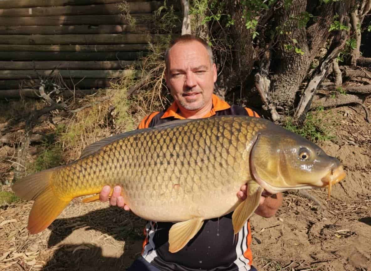 Banana X HEP: Proof that quality bait catches quality fish.