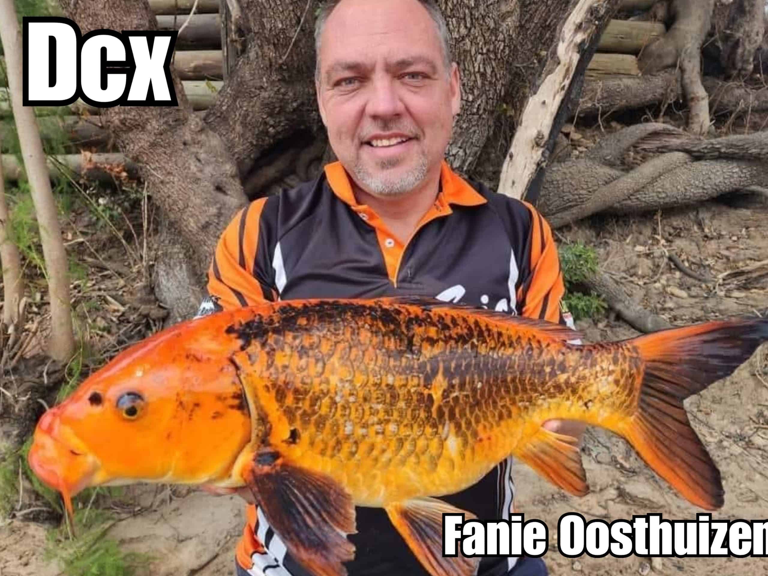 Mastering the Product: Magic Baits DCX Flavour
