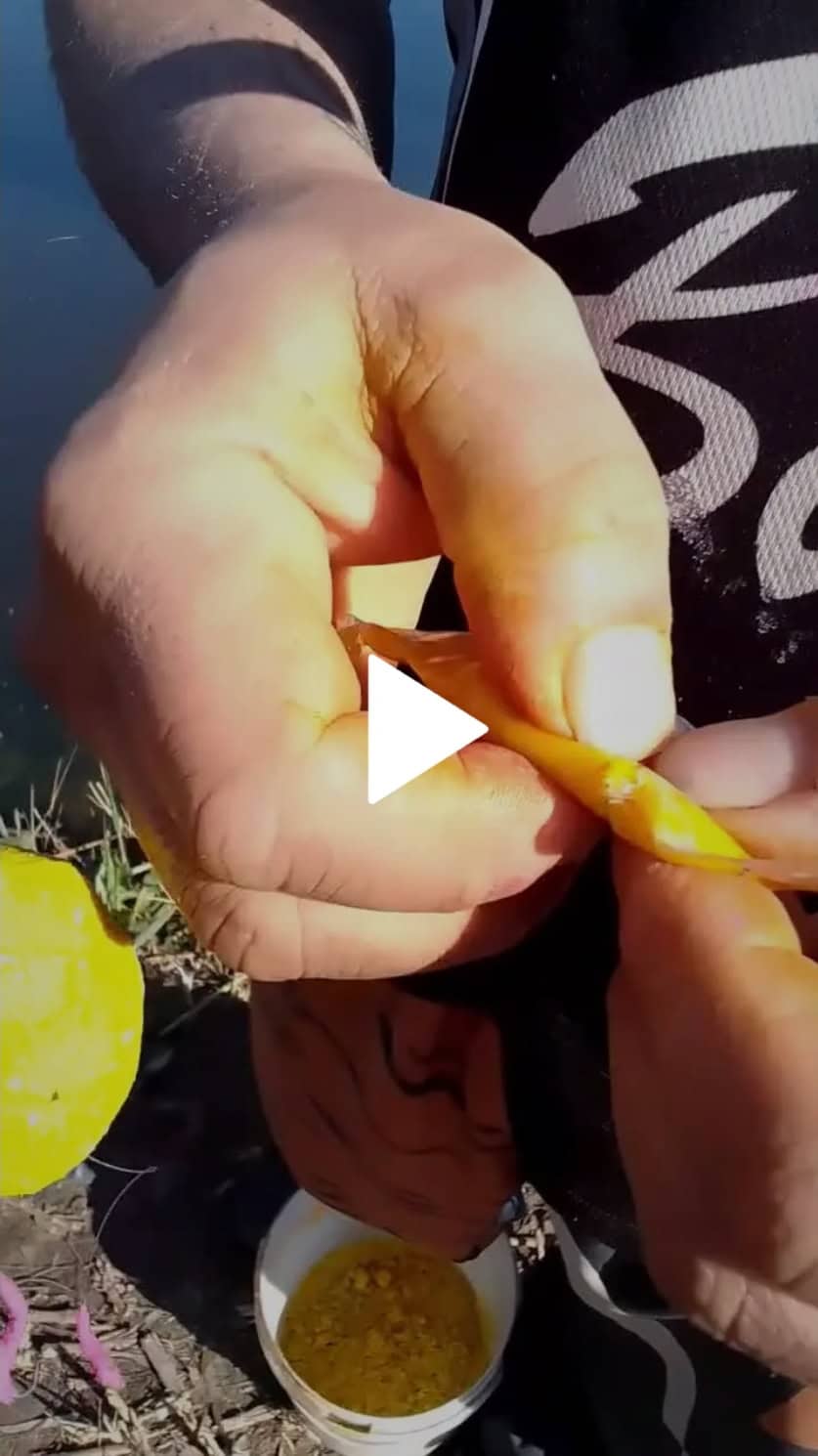 Bait Application – Video Clips