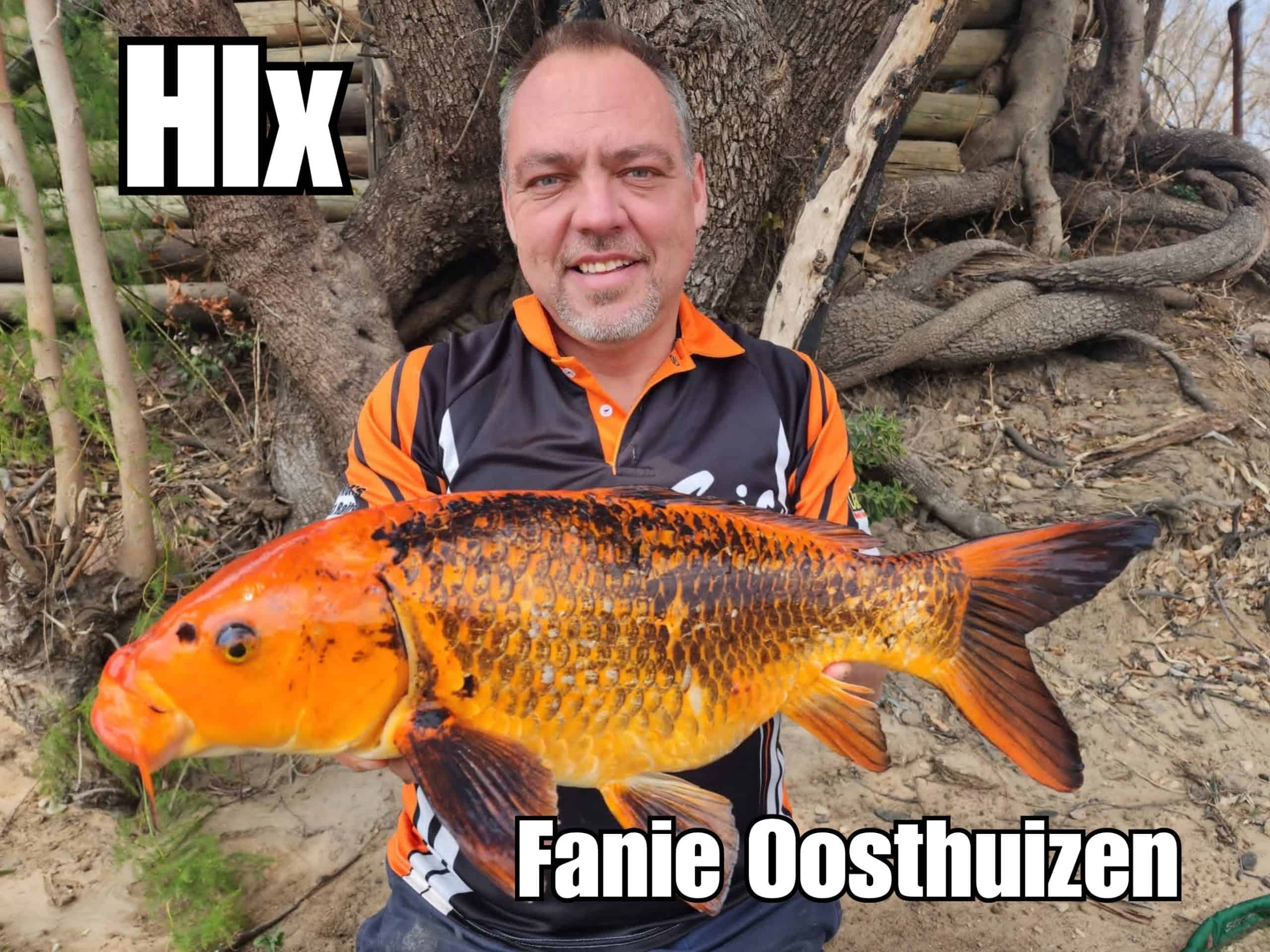 Mastering the Product: Magic Baits HLX Flavour
