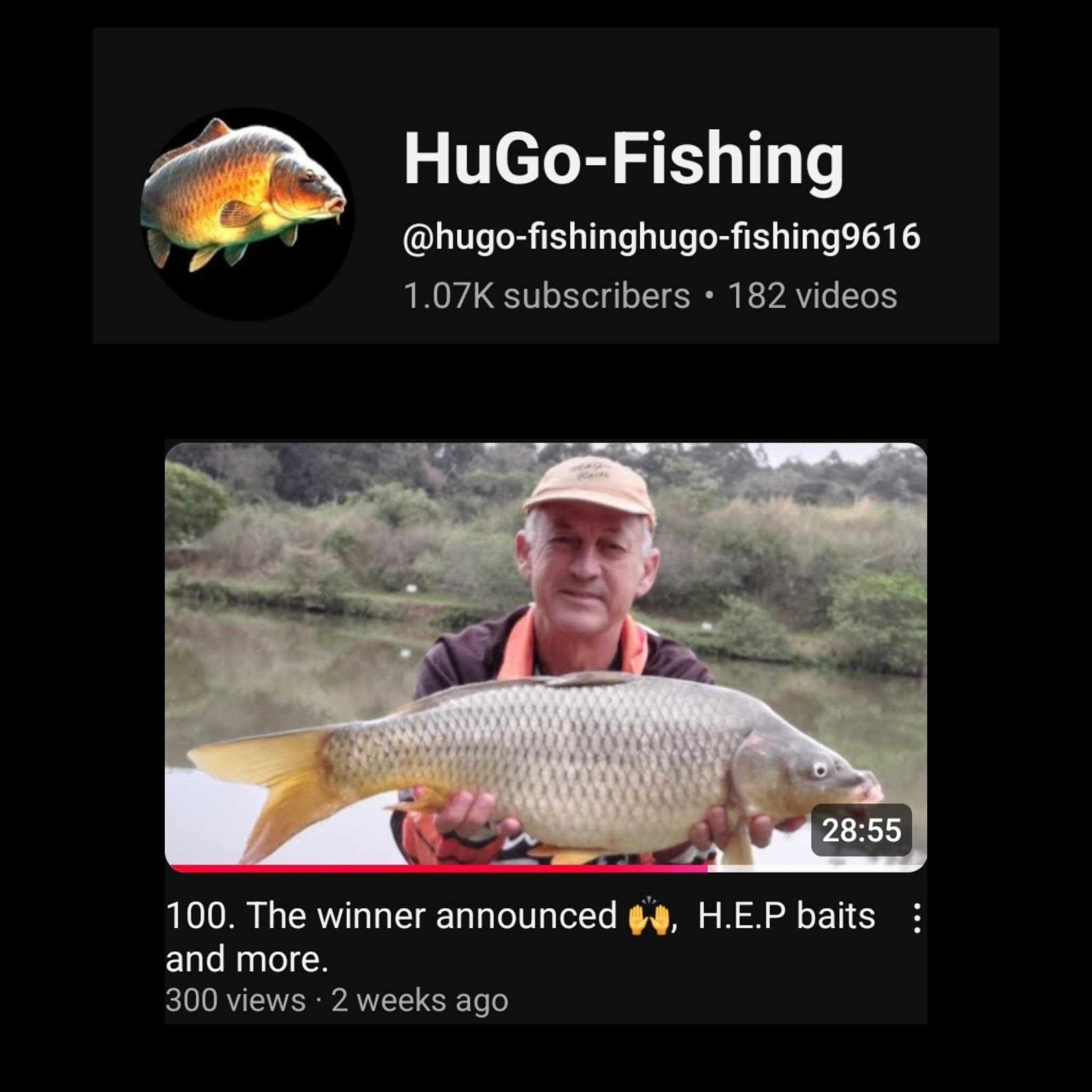 From Bank to Screen – The World of Hugo Fishing