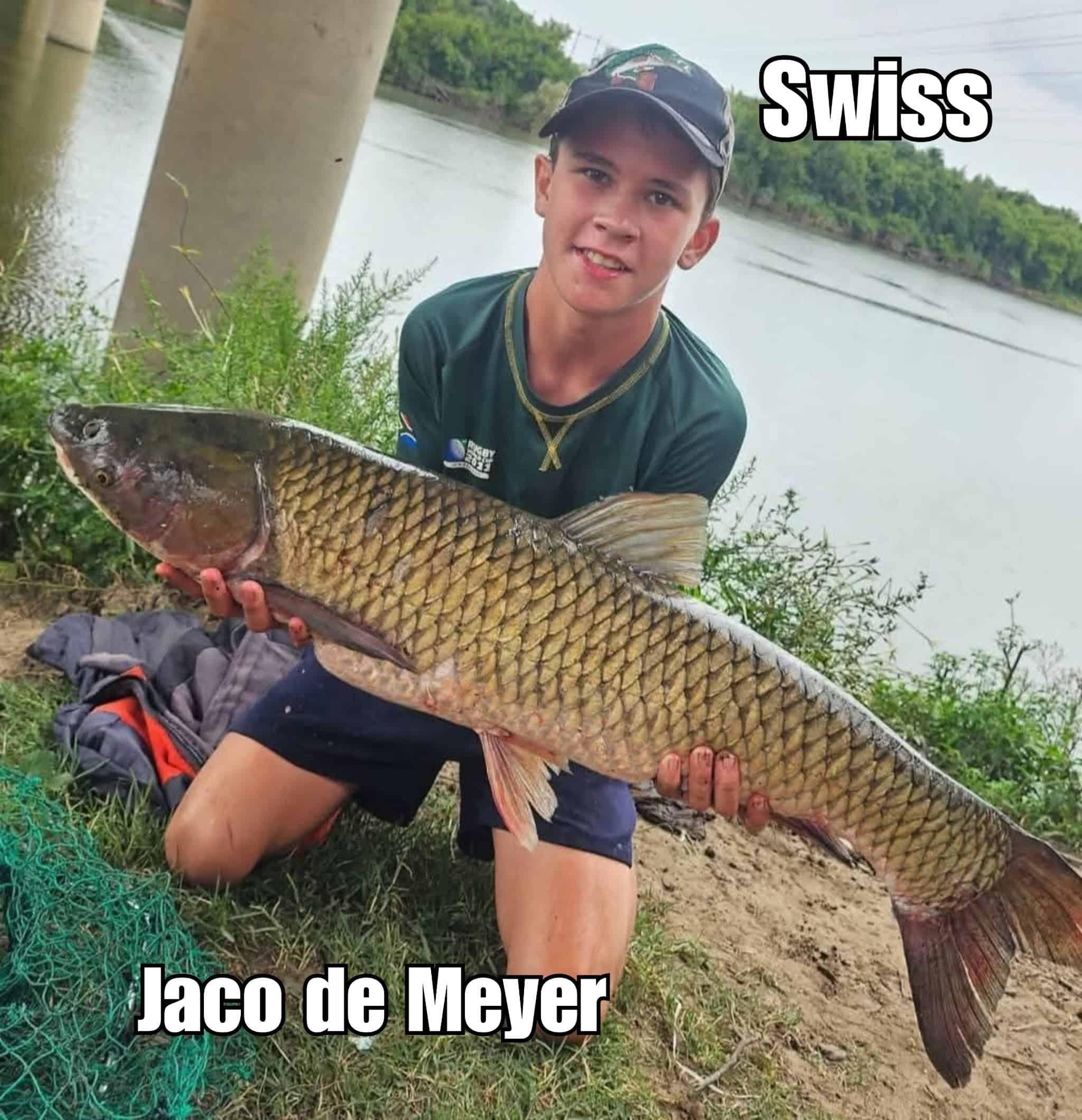 Mastering the Product: Magic Baits Swiss Flavour