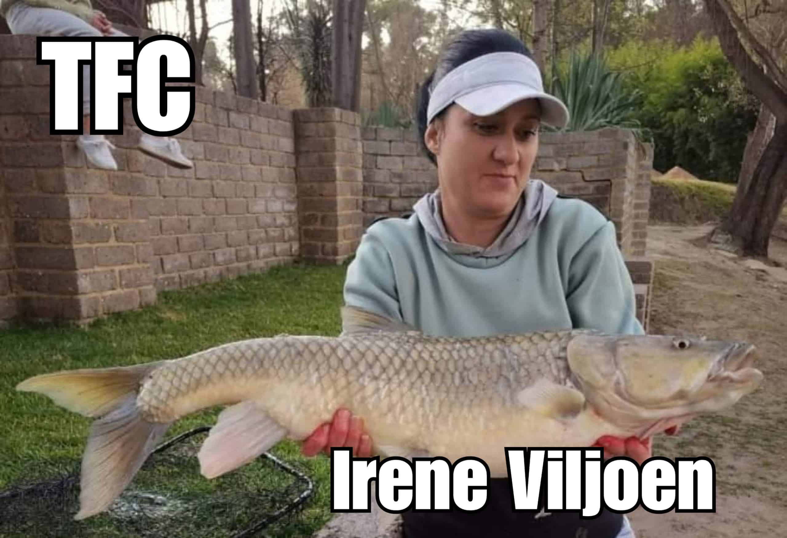 Mastering the Product: Magic Baits TFC Flavour