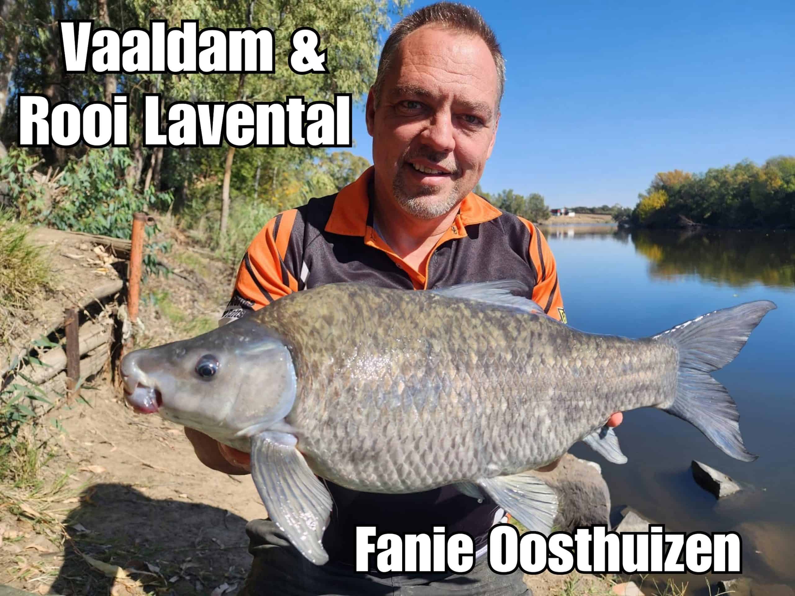 Mastering the Product: Magic Baits Vaaldam & Rooi Lavental Flavour