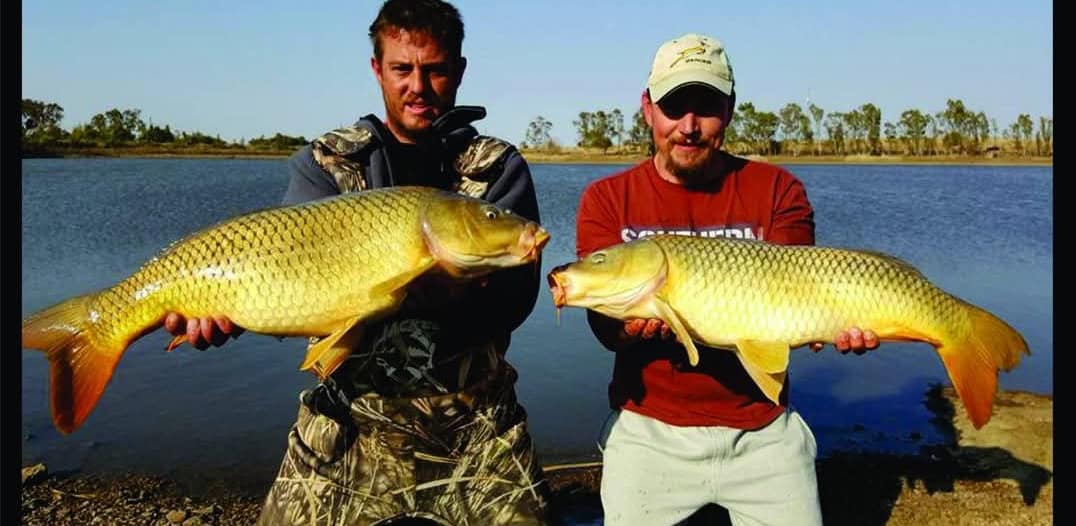 Mastering the Product: Magic Baits Xpresso Flavour