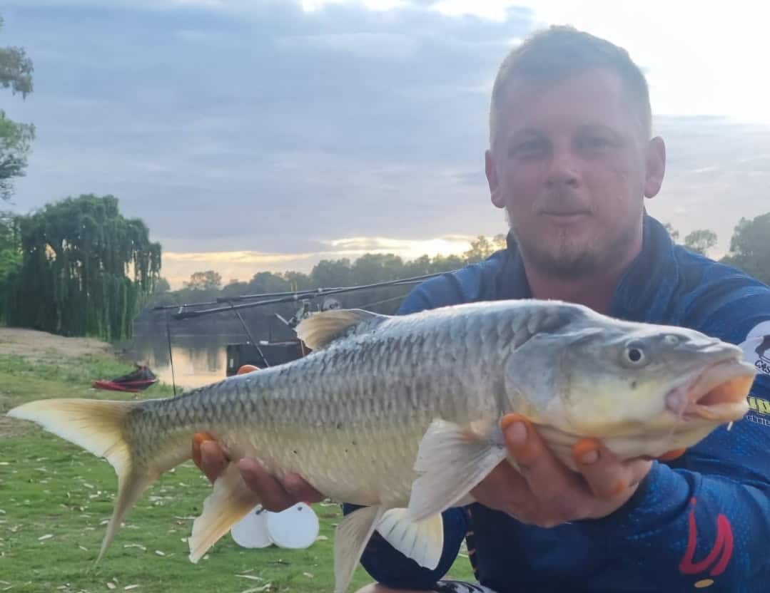 “Why HEP Is Now My Secret Weapon”