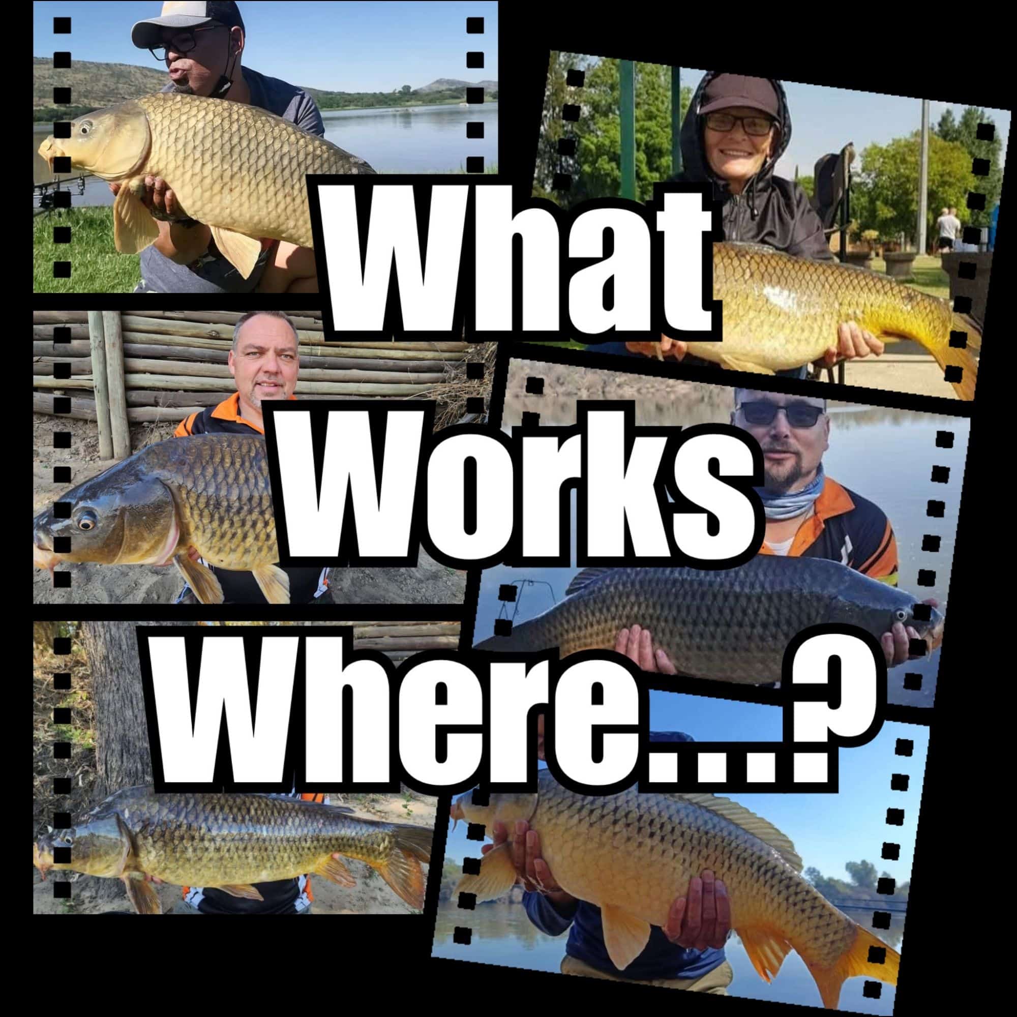 What works Where?