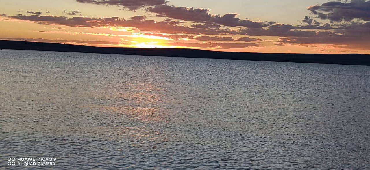 Into the Clear Water: The Magic Baits Guide to Sterkfontein Dam