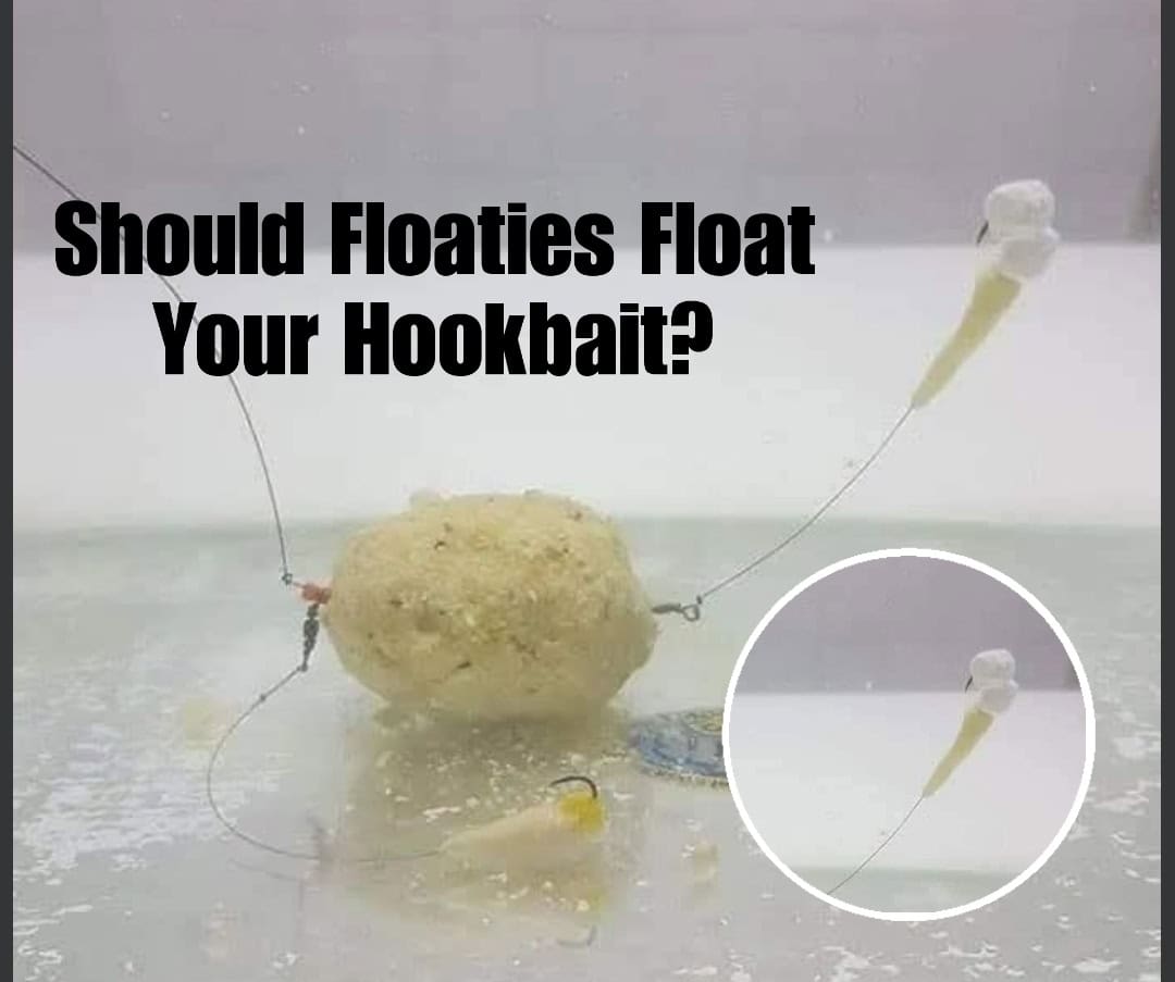 Should Floaties Float Your Hookbait? 🎣